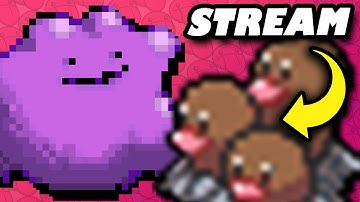 DITTO TEAM to the TOP!! 👯‍♀️ Pokemon Sword & Shield | VGC 2021