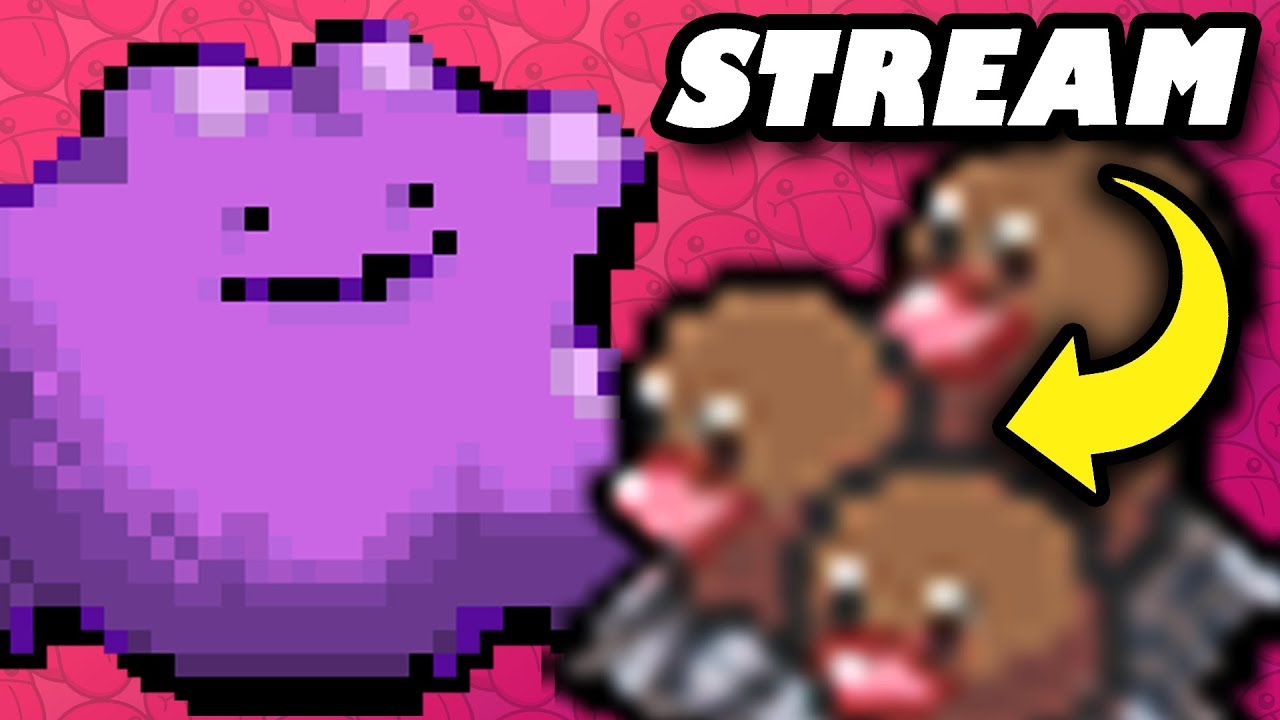 DITTO TEAM to the TOP!! 👯‍♀️ Pokemon Sword & Shield | VGC 2021