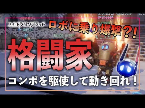 【ドラブラ】実装間近?!格闘家のスキル、コア、血統スキルを徹底分析!ー難解なコンボの仕組みを理解すべし!【コード:ドラゴンブラッド】