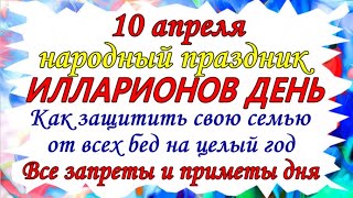 10 апреля - ИЛЛАРИОНОВ ДЕНЬ. Праздник Мать-и-мачехи. Что нельзя делать. Народные традиции и приметы