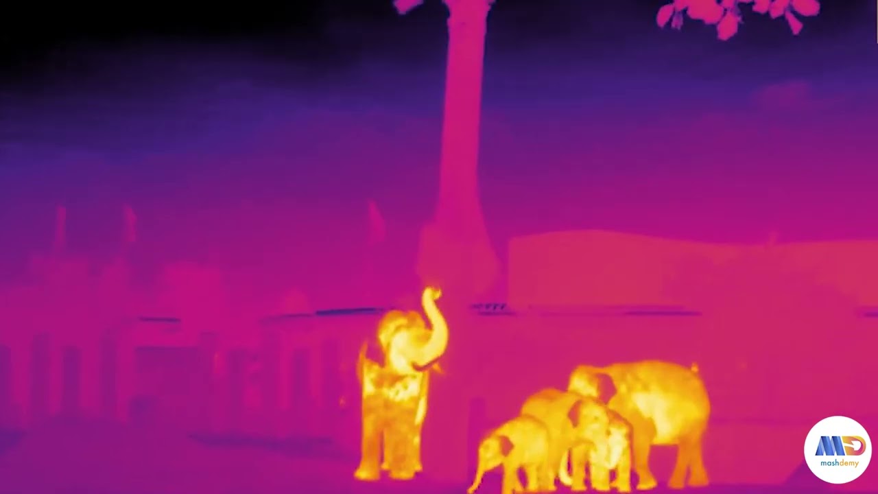 Recent advancements in thermal imaging technology have empowered AI system