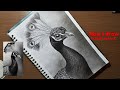How I draw realistic peacock sketch😱🥰 