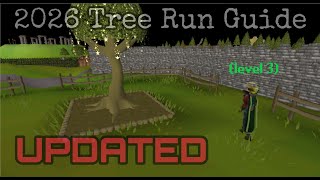 (2026) Level 3 Tree Run Guide (Post Sailing)