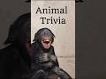 Animal Trivia Challenge #animaltrivia #quiz #fypシ゚viral