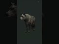 RARE WOLF! 😍 | The Hunter: Call of The WILD