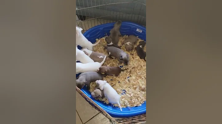 Play time