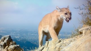 Peak Performance In The Angeles National Forest: March 2026 To June 2026