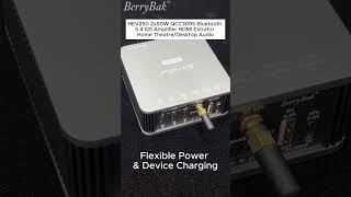HEV250 2x50W QCC3095 Bluetooth 5.4 I2S Amplifier HDMI Extrator Splitting Home Theatre/Desktop Audio