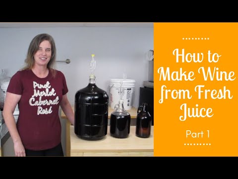 How to Make Wine from Fresh Juice - Part 1
