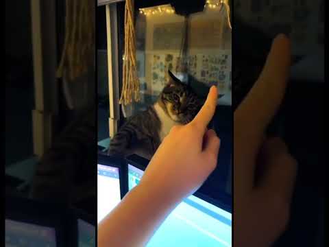 Snaptik 7128028143922744619 funny