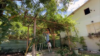 Vlog de dona de casa: me arrumando, limpando o quintal e preparando o aniversário do Benício