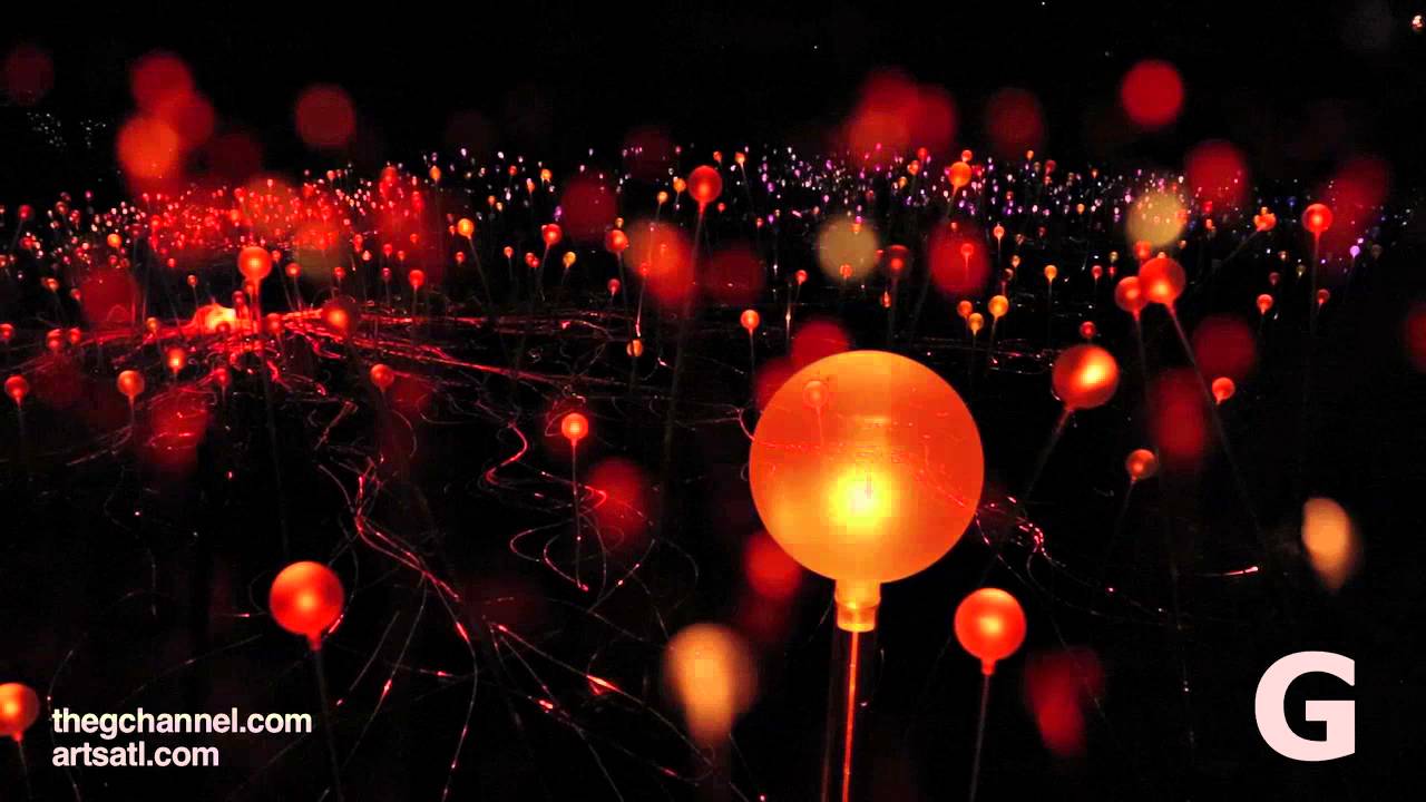 Behind the scenes at Bruce Munro’s Light in the Garden