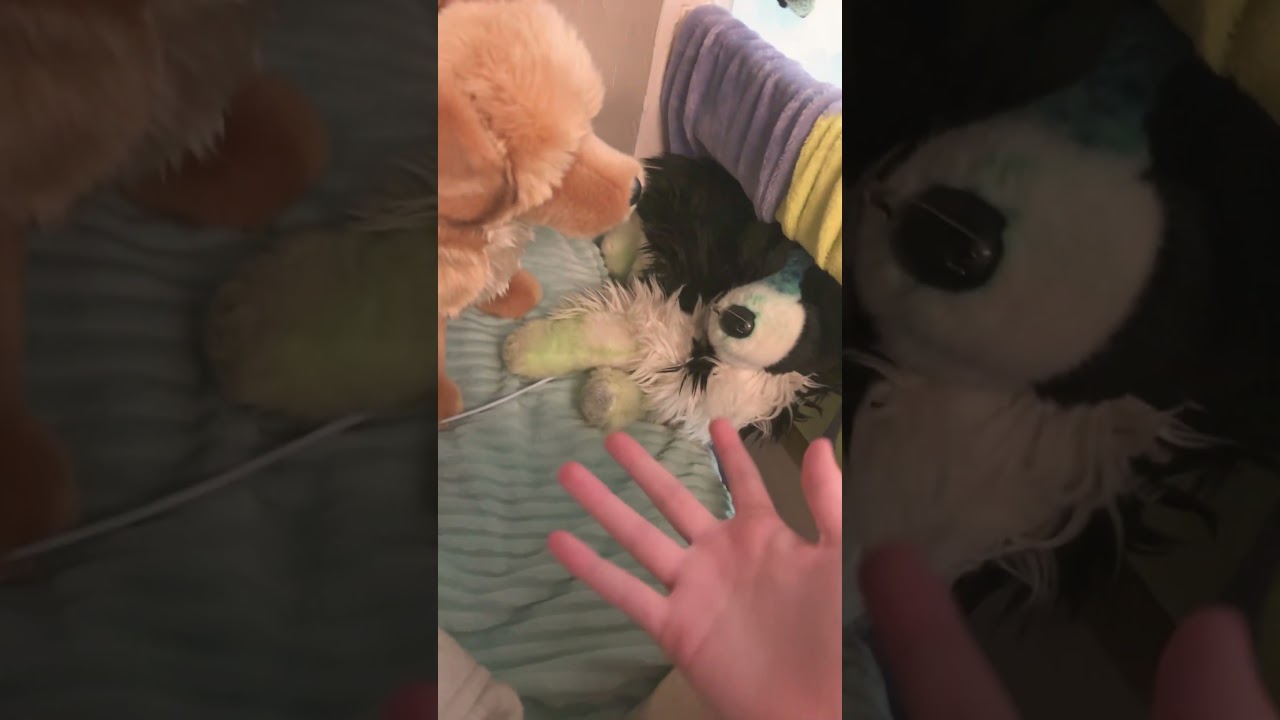 Pickles and jezzable are NOT good friends💔✌️🥹