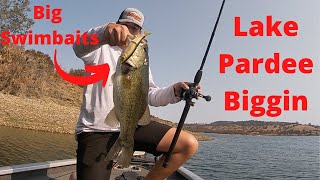 Throwing BIG Swimbaits on Lake Pardee for BIG Bass! I Caught A GROWN ONE on a S-Waver+Whippersnapper