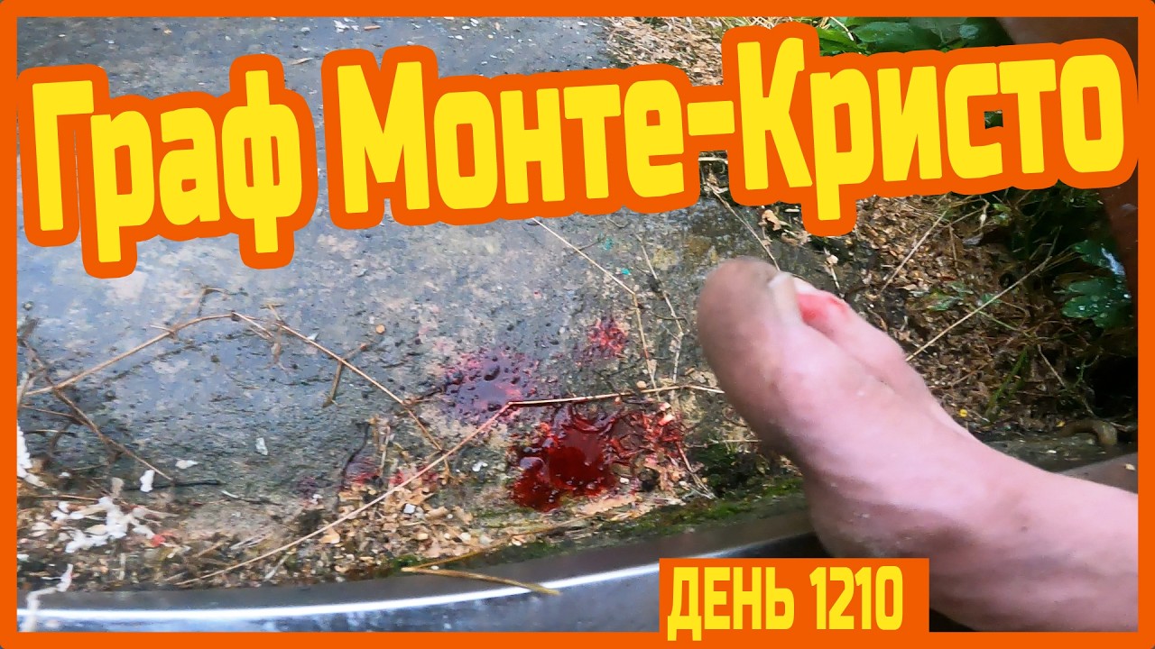 Рецензия на Граф Монте-Кристо. Работаю в столярке. Фиби вредничает — День 1210