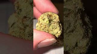 TERPY TIME TASTE BUDS - NEW DROP !!!! - DOJA - PEACH TREE !!!! @dojaexclusive5612 #new #2025 #new