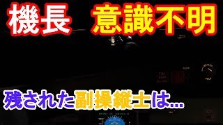 【フライトシム】飛行中に機長が負傷！一人で安全に着陸せよ（緊急事態編） screenshot 4