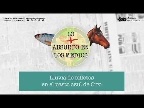 RAINING CASH on CIRO'S BLUE TURF | The Most Absurd in the Media