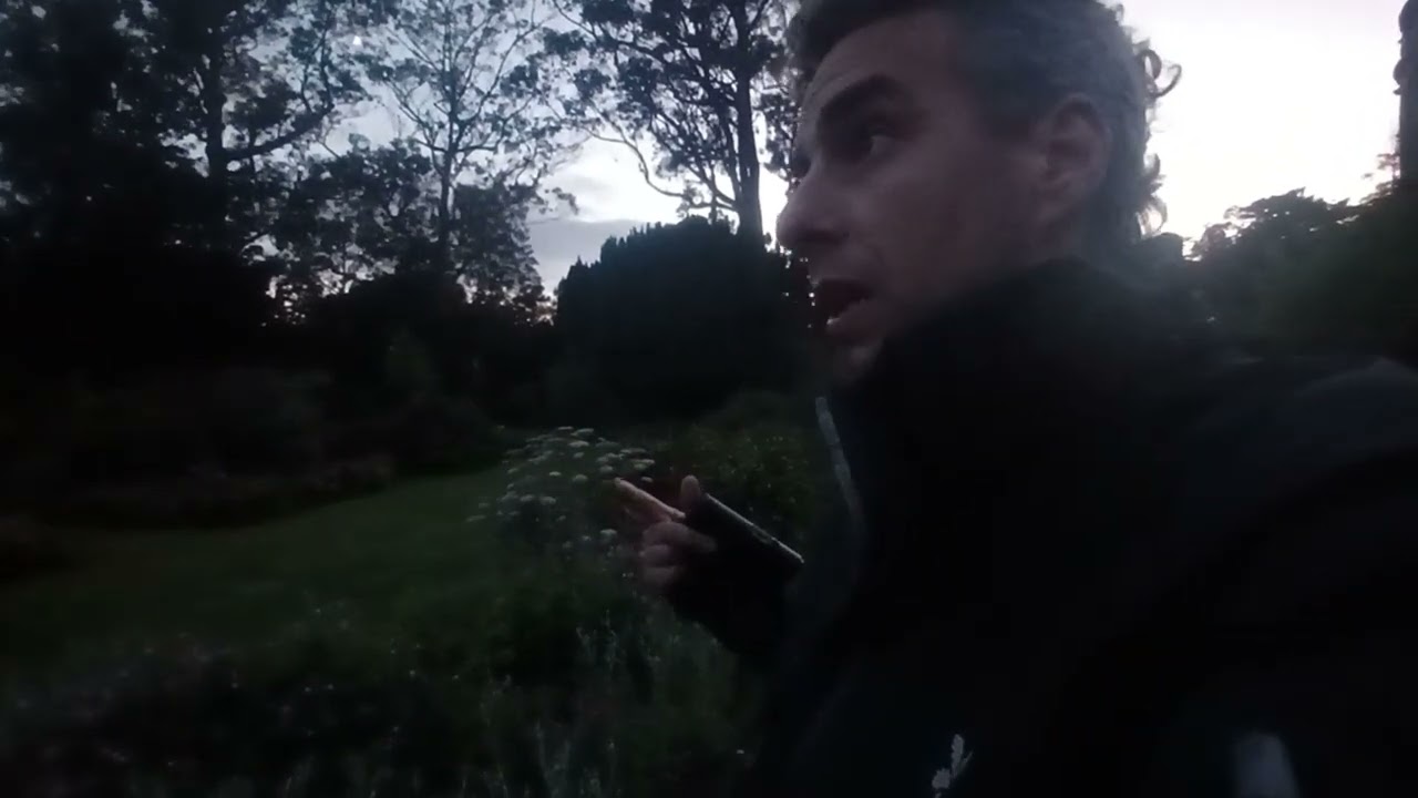 Bat Roost surveys 2024 