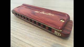 Video thumbnail of "Nobody Knows the Trouble I've Seen - Harmonica"