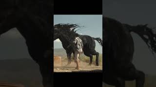 Ghode Ko Hawa Ki Raftar Se Dauda Sakta Hai | Horse Power Speed Video | Venom Hindi Short Video