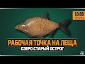 Лещ на озере Старый Острог — Русская Рыбалка 4