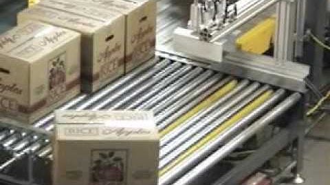 LOCKWOOD AUTOMATIC BOX PALLETIZER, RICE APPLE, USA