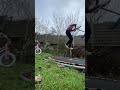 Inward on trampoline scooter #getlikes #getsubsonyt #getviews #