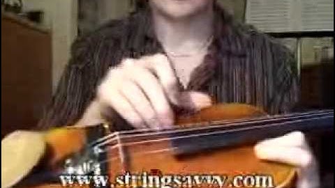 Stringsavvy.com Violin Lesson 1