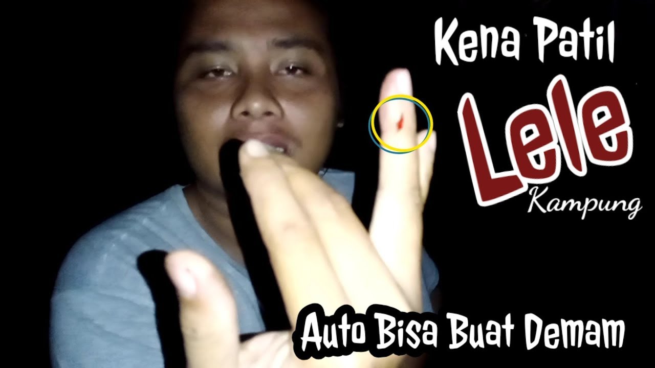 Kena Tusuk Patil Lele Lokal Saat Mancing Sakitnya Tuh Bikin Auto Pulang