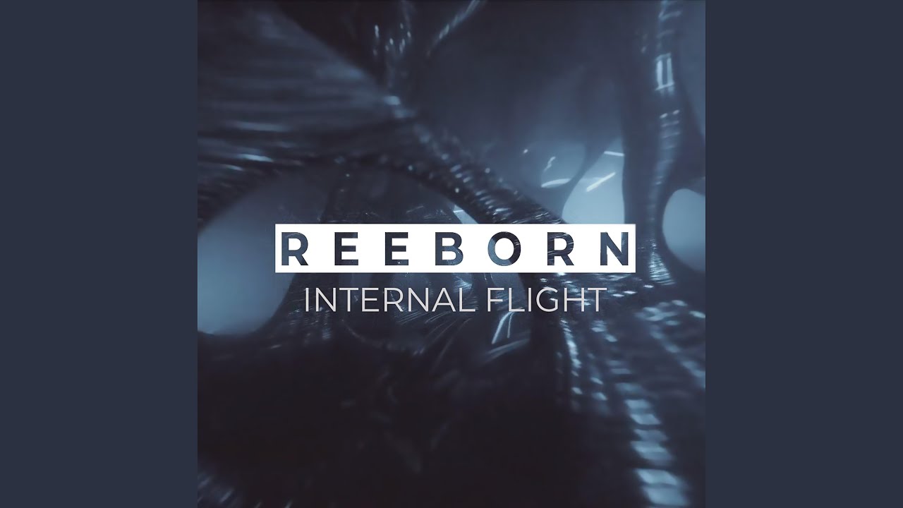 Watch Internal Flight on YouTube Watch Internal Flight on YouTube