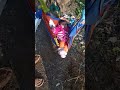 #short video#youtube#cute#
