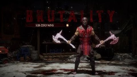 Mortal Kombat 11 Sub Zero Brutality Cold Out