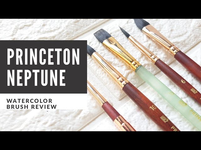 Talking About Paintbrushes: Silver Black Velvet, Princeton Neptune, Aqua  Elite, Snap, Escoda etc. 