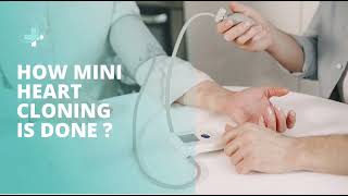 Assignment MIC272 Mini Heart Cloning