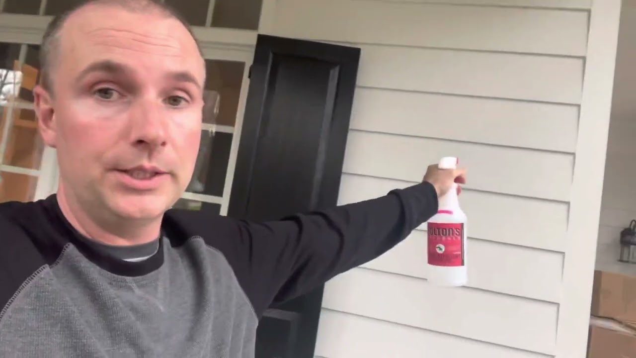 How to repel lizards Geckos and Anoles from your home easily and