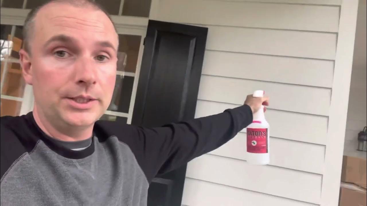 How to repel lizards Geckos and Anoles from your home easily and naturally YouTube