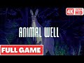 Animal well gameplay walkthrough full game   no commentary