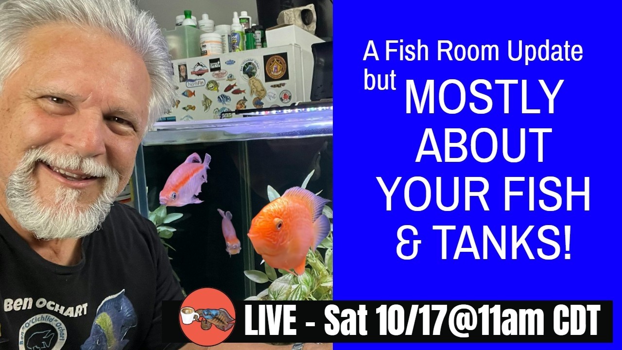 An Hour All about YOUR TANKS, FISH & FILTERS - LIVE!