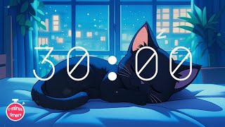 30 Minute Timer with music for classroom lofi