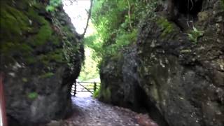 Information Silver DofE Practice Music Video- Planetary (GO!) News