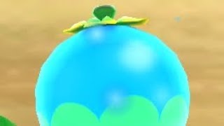 Manifest A Blimp Fruit Subliminal