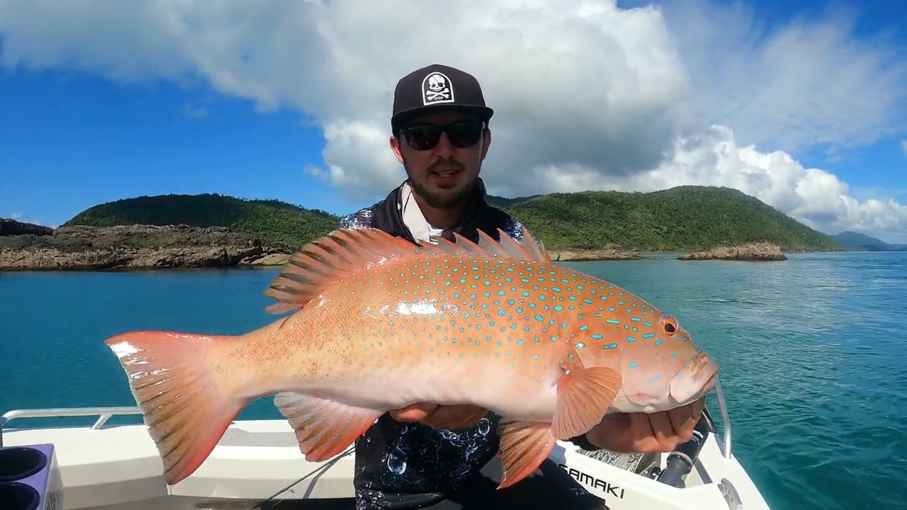 Chasebaits Armour Prawn - Chasebaits Australia