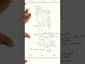 Map Note BCS #bcs #map #written #job #exam #suggetion