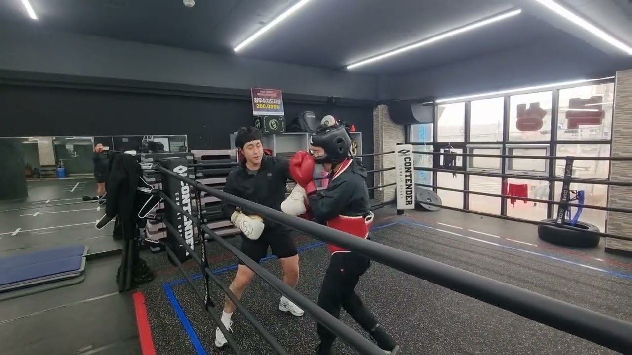 🐮 vs 🐿 지도스파링