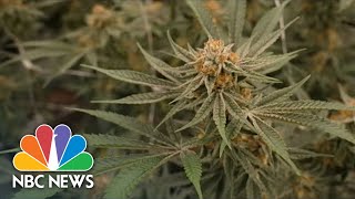 New Jersey Community Prioritizes Social Equity In Recreational Marijuana Rollout