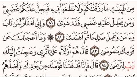 الصفحة رقم 317 الشيخ ماهر المعيقلي - القرآن الكريم - Quran