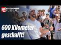 TOTAL AM LIMIT: Ardás 600-km Triumph im Video 🏁