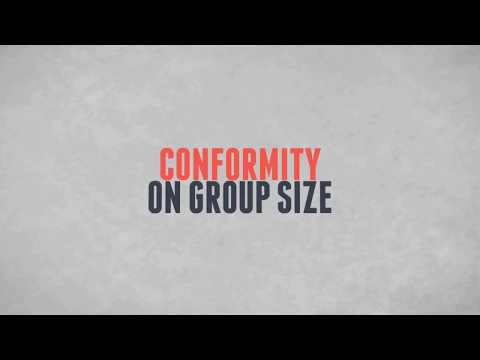 Conformity Social Experiment