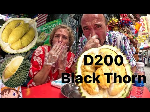 Durian Black Thorn Local food 🇲🇾 Malaysia Kuala Lumpur